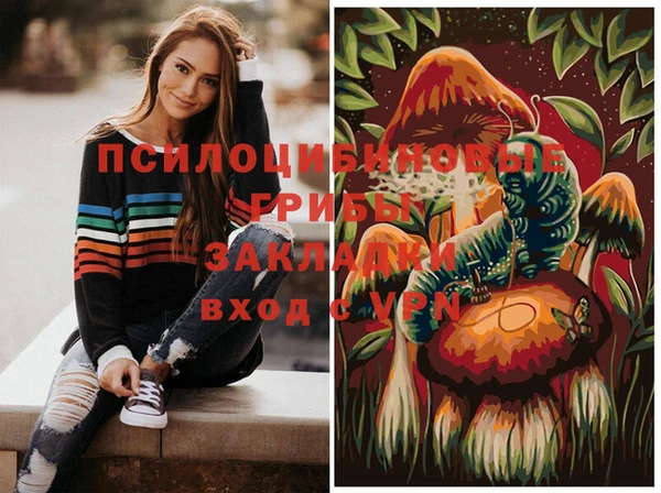 соль ск Кинешма