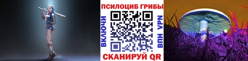 Купить  Нюрба  Галлюциногенные грибы Psilocybine cubensis 